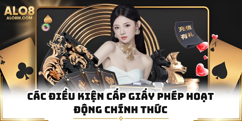 Các điều kiện cấp giấy phép hoạt động chính thức