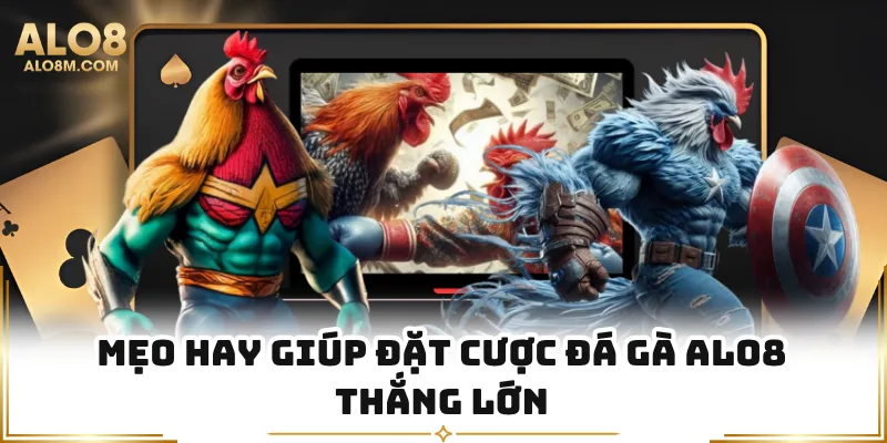 Mẹo hay giúp đặt cược đá gà Alo8 thắng lớn